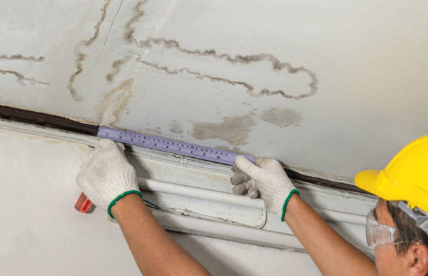 Reliable Water Damage contractor in Whitesburg, KY by Water Damage Irwin